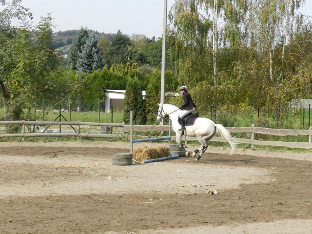 Babie Lato 2016